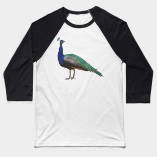 Crayon Peacock Baseball T-Shirt